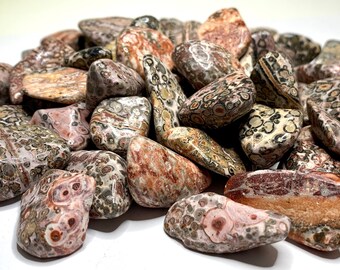 Leopardskin Jasper Tumbled Stones