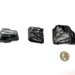 Three black tourmaline crystals of varying sizes and shapes. The crystals are raw and have a rough, textured surface. A US quarter is included for scale.