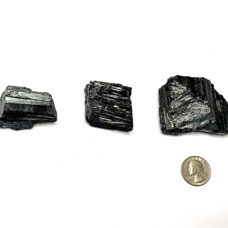 Three black tourmaline crystals of varying sizes and shapes. The crystals are raw and have a rough, textured surface. A US quarter is included for scale.