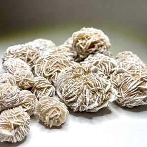 A group of white and tan desert rose crystals. The crystals are clustered together and have a delicate, flower-like appearance. The crystals are arranged on a white surface.
