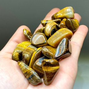 Tigers Eye Tumbled Stones - Small Polished Tiger Eye Crystal