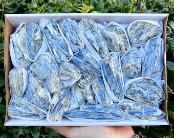 Blue Kyanite Cluster Crystal Flat,  Rough Natural Stones, Premium Quality 'A' Grade Kyanite, Bulk Wholesale Crystals
