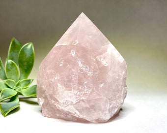 Rose Quartz Polished Crystal Points