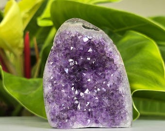 Natural Amethyst Crystal Cluster - Geode with Polished Edges