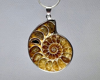 Ammonite Pendant Necklace, Ammonite Fossil Pendant with Chain