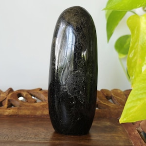 May include: A dark, polished stone with a rounded top and a smooth, glossy surface. The stone has subtle, light-coloured veining throughout, adding texture. The object is displayed on a wooden surface, with green foliage in the background.