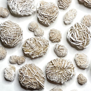 A collection of white and beige crystals, also known as desert rose selenite, on a white background.