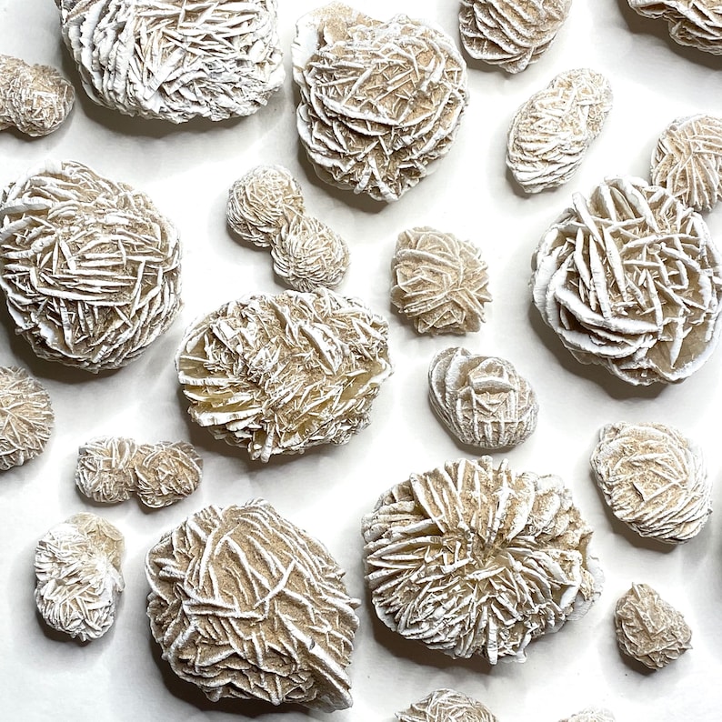 A collection of white and beige crystals, also known as desert rose selenite, on a white background.