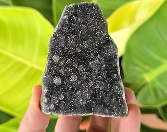 Black Amethyst Cluster with Cut Base