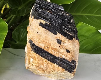 Large Black Tourmaline in Matrix with Quartz & Mica – 2.8 lbs Specimen on Cut Base