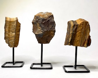 Tigers Eye on Stand