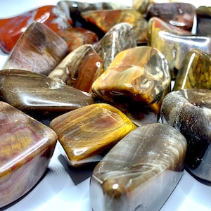 Petrified Wood Tumbled Stones