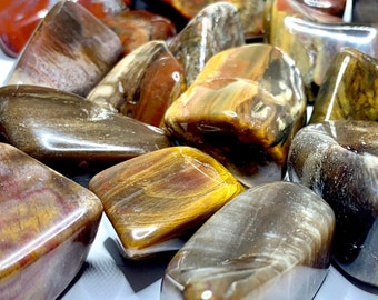 Petrified Wood Tumbled Stones