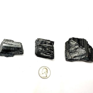 Three black tourmaline crystals of varying sizes and shapes. The crystals are raw and have a rough, natural texture. A US quarter is included for scale.