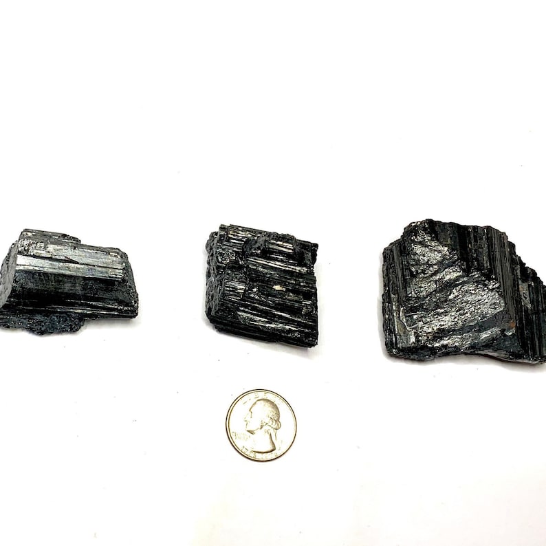 Three black tourmaline crystals of varying sizes and shapes. The crystals are raw and have a rough, natural texture. A US quarter is included for scale.