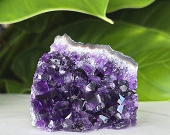 Natural Amethyst Crystal Cluster