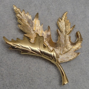 May include: A gold-toned leaf-shaped brooch. The brooch features a detailed design with textured veins and edges, resembling a maple leaf. The brooch is a vintage accessory, perfect for adding a touch of nature-inspired elegance to any outfit.