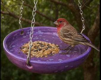 MADE TO ORDER Hanging Birdfeeder