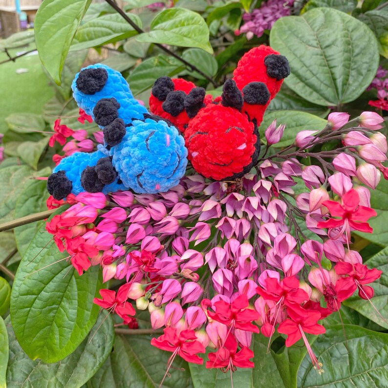 May include: A close-up of three plush caterpillar toys in red and blue, with black accents, resting on a cluster of pink and red flowers. The caterpillars have smiling faces. Green leaves provide a natural backdrop.