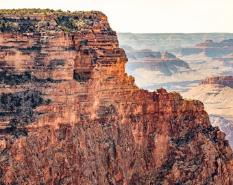 Lonely Pines in the Grand Canyon Digital Download