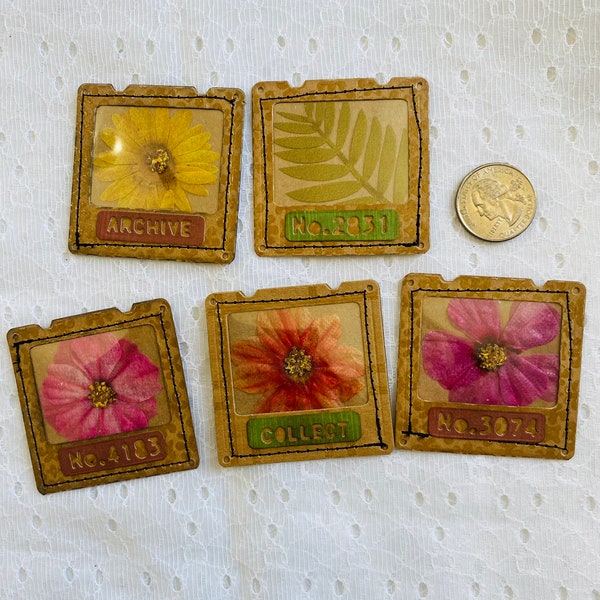 Specimen Cards, Sample Cards, Set of 5, Junk Journal Embellishments