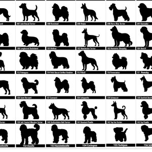 May include: A grid of black dog silhouettes on a white background. Each silhouette represents a different breed, with labels below each image. Breeds include Irish Wolfhound, Jack Russel Terrier, and more.