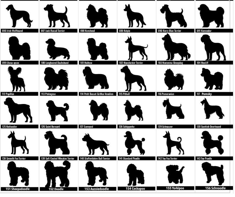 May include: A grid of black dog silhouettes on a white background. Each silhouette represents a different breed, with labels below each image. Breeds include Irish Wolfhound, Jack Russel Terrier, and more.