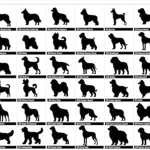 May include: A grid of black dog silhouettes, each labeled with a breed name and number. Breeds include Anatolian Shepherd Dog, Australian Cattle Dog, and Golden Retriever. Ideal for dog lovers and breed identification.