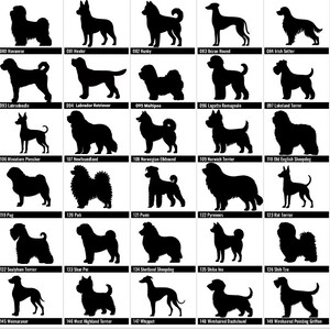 May include: A collection of black dog silhouettes, each labeled with a breed name and number. Breeds include Greyhound, Havanese, Heeler, Husky, and more. The image is a reference guide for dog breeds.