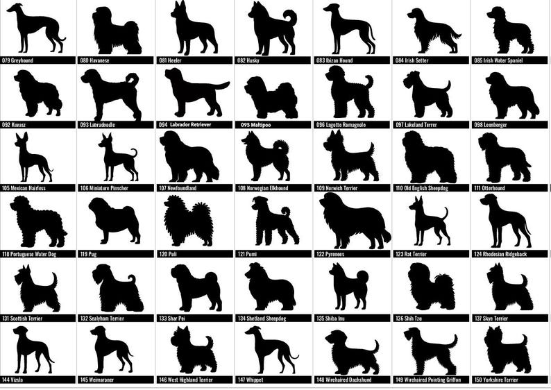 May include: A collection of black dog silhouettes, each labeled with a breed name and number. Breeds include Greyhound, Havanese, Heeler, Husky, and more. The image is a reference guide for dog breeds.