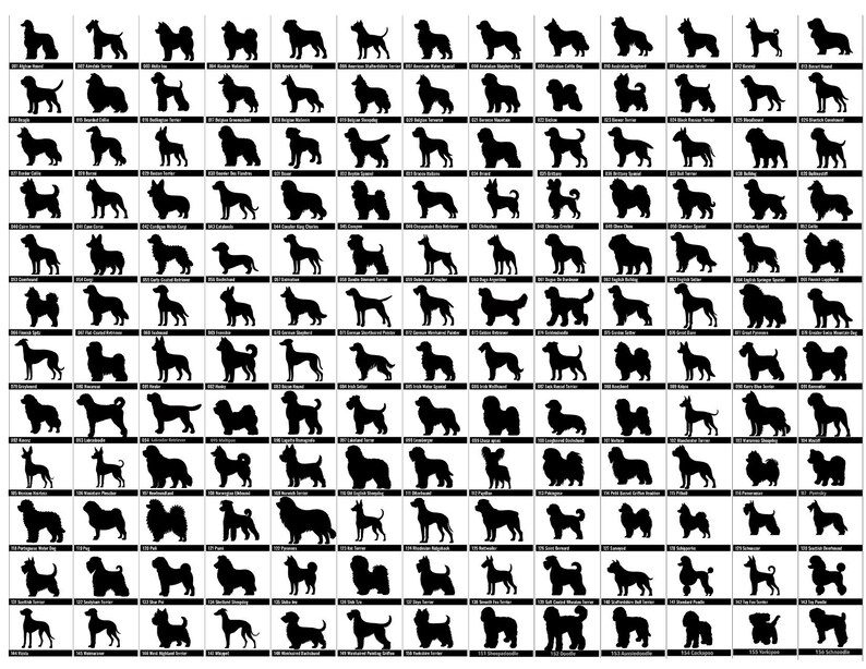 May include: A grid of black dog silhouettes on a white background. The image features various dog breeds, each in a side profile, including breeds like Poodles, German Shepherds, and Dachshunds. The silhouettes are detailed and uniform in style.