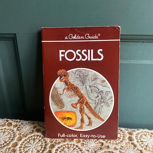 May include: A paperback book titled A Golden Guide Fossils with a deep red cover. The front features a circular illustration of a dinosaur skeleton, a trilobite, and an insect in amber. The text reads Fossils, A Golden Guide, and Full-color, Easy-to-Use.