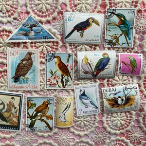 Vintage Bird Themed Stamps Lot of 12 • Stamp Collecting, Instant Collection, Paper Ephemera, Collage Supplies, Junk Journal,  Ephemera
