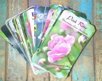ℳℰЅЅᎯᎶℰЅ from the ℱlowers Oracle