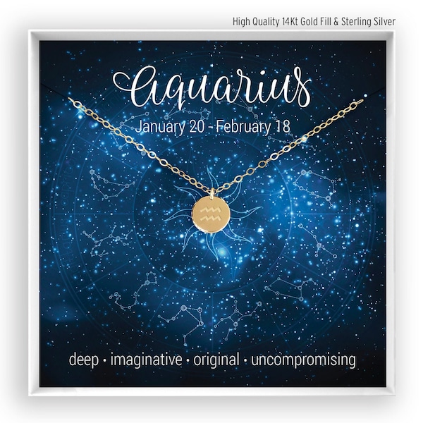 Aquarius Necklace, Zodiac Necklace, Horoscope Necklace, Aquarius Jewelry, Astrology Sign, Aquarius Birthday Gift, 14kt Gold Fill Rose Silver