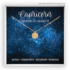Capricorn Necklace, Zodiac Necklace, Horoscope Necklace, Capricorn Jewelry, Astrology Sign, Birthday Gift, in 14kt Gold Filled Rose Silver