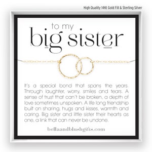 Big Sister Gift, Big Sister Necklace, Sister Gifts, Big Sister Birthday, Jewelry Gift, in 14kt Gold Filled, Rose, Silver BW
