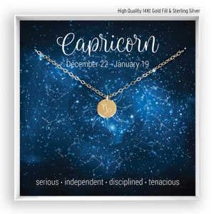 Zodiac Necklace, Zodiac Sign Disc, Birth Month Disc, Astrology Zodiac Necklace, Zodiac Jewelry, Coin Disc, in 14kt Gold Fill, Rose, Silver