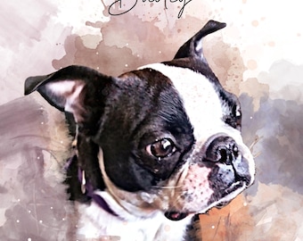 May include: A watercolor painting of a Boston Terrier dog with black and white fur. The dog is looking to the right and has a purple collar. The background is a watercolor wash of brown and pink.
