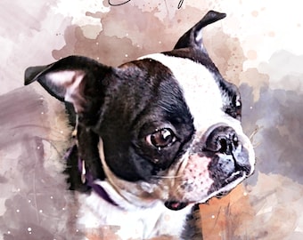 May include: A watercolor painting of a Boston Terrier dog named Bailey. The dog is looking to the right of the image with a soft, gentle expression. The background is a soft watercolor wash of brown, pink, and white.
