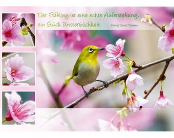 Postkarte - Frühling - 12x17 cm