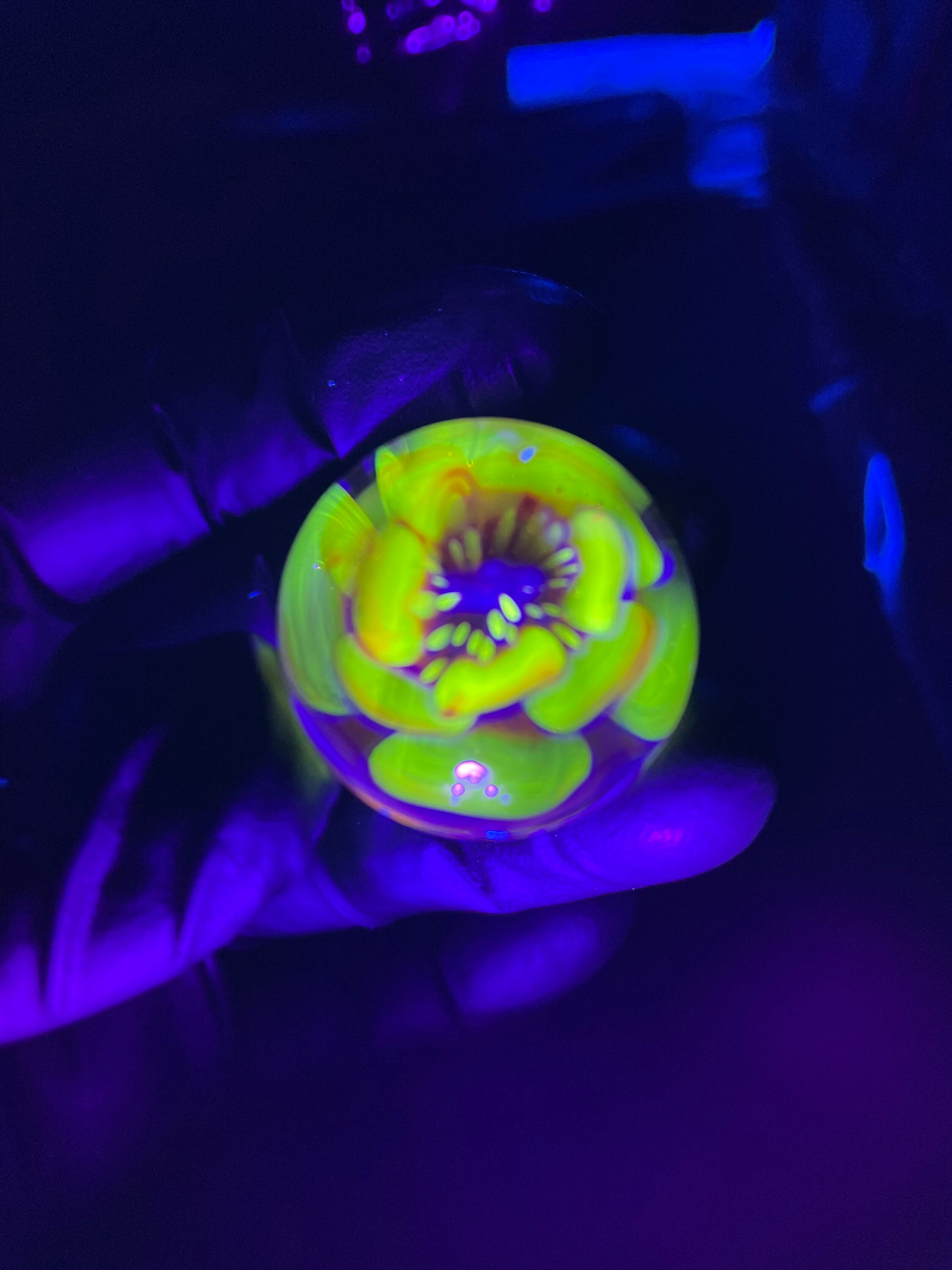 2024 28mm UV reactive Uranium Borosilicate Glass Silver Fumed Flower Marble Handmade by Artist Anthony Weber Pierian Flower