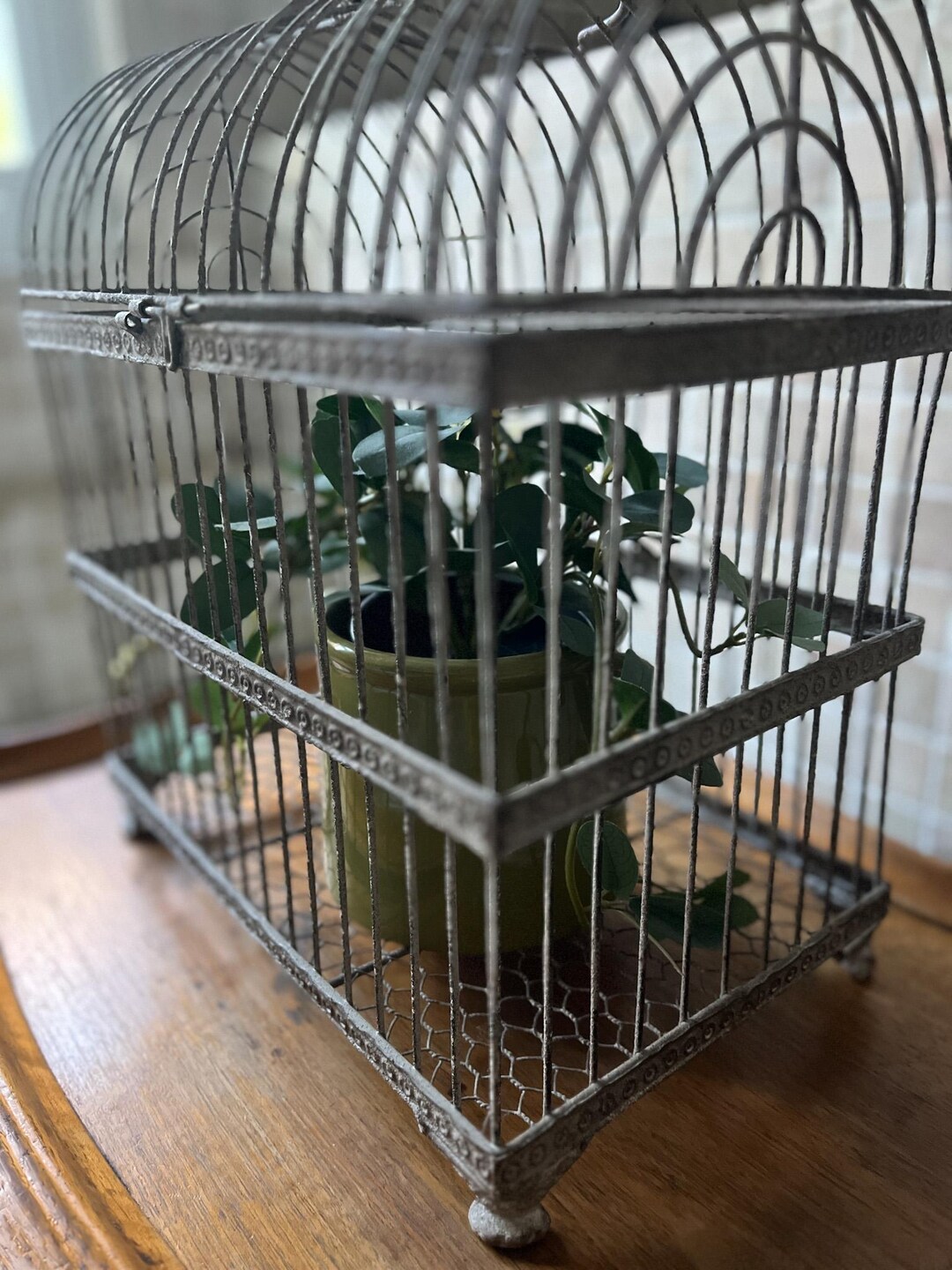 Picture Idea: Vintage Style Rustic Metal Bird Cage