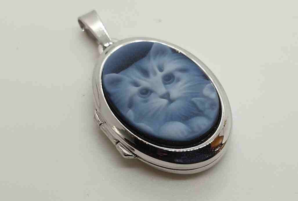 Valuable genuine gemstone gem in modern photo locket setting in 925 silver as pendant kitten