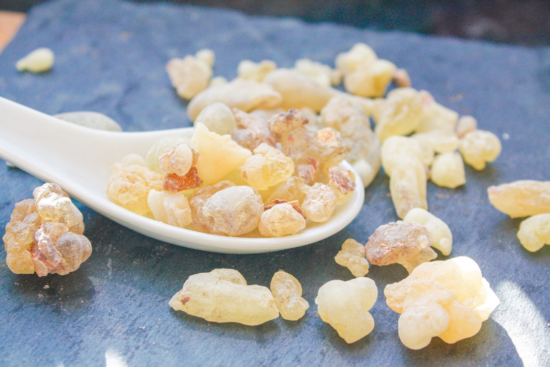 Luban Chewing Gum 100 Natural, Louban Sap Etsy