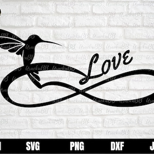 Infinity Heart Symbol Svg, Infinity Sign Svg, Forever Symbol Svg, Hummingbird Love Svg, Bird Cricut, Forever Love Svg, Infinity Love Svg