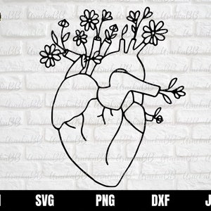 Real Heart Svg, Anatomical Heart with flowers Svg, Floral Heart Svg, Realistic Heart Svg, Flower Heart Svg, Anatomy Svg, Human Heart Svg