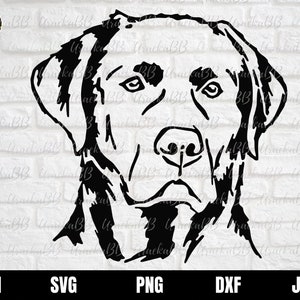 Labrador Retriever Svg, Golden Retriever Dog Svg, Labrador Retriever Dog Svg, Dog Svg, Dog Silhouette Svg, Vector Dog, Svg, Png, AI, Dxf