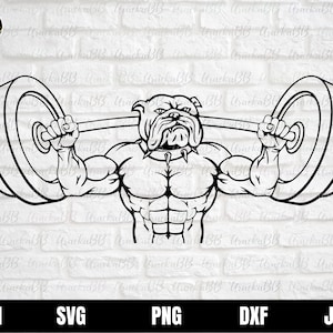 Bulldog Body Builder Svg, Weight Lifter Clipart, Fitness Physique Svg, Wild Dog Cut File, Strong Build Animal Clipart, Gym Fitness Svg