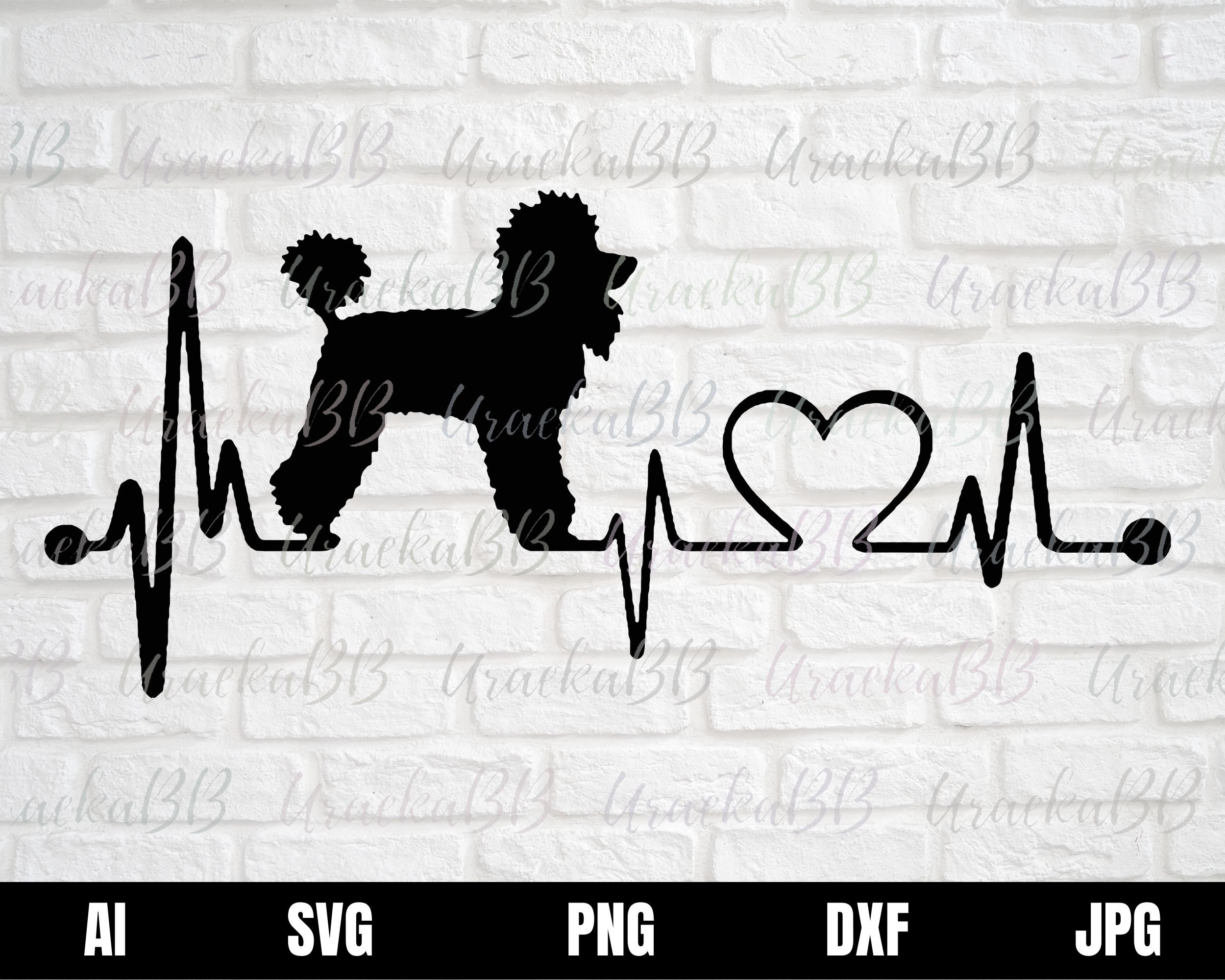 Peixe Vivo: Desenho Animado do Mundo Aquático, image size:2500x2000